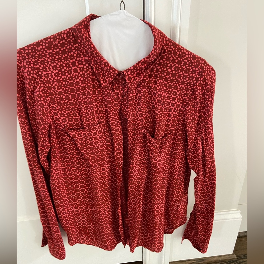 Anthropologie Holding Horses size 8 button down top